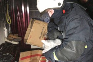 Bursa'da yangında 4 kişi dumandan etkilendi, 3 kedi öldü!