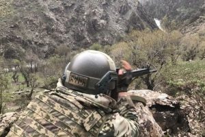 Bitlis'te terör örgütüne yönelik operasyon