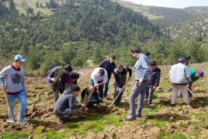 Bursa'da yaban hayatına meyve fidanları ile destek