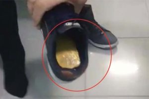 Ayakkabısının içinden bile çıktı