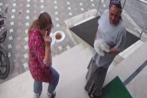 Yemek ikram edilen apartmanda hırsızlık yaptı!