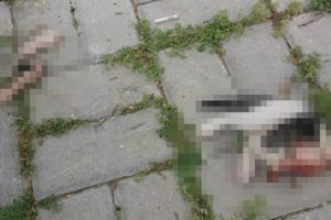 Dehşet! Kafası ve bacakları kesilerek öldürülmüş