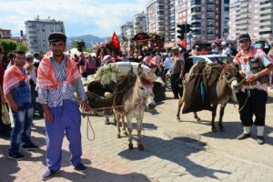 Temsili Yörük göçünde renkli görüntüler