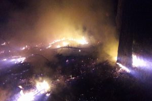 Bursa'da yıldırım düştü, 2 dekar alan küle döndü!
