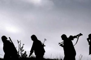 Siirt'te PKK'ya operasyon!