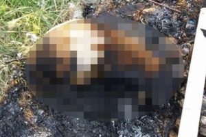 Döverek ve yakarak öldürdüler!