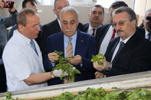 Fakıbaba: Türk halkı ekmek yemeyebilir ama...