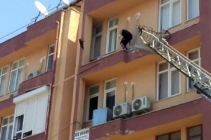 Balkonda mahsur kalan kediyi itfaiye kurtardı