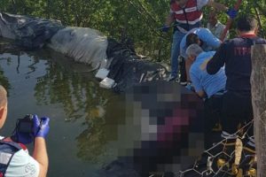 Sulama göletine düşen kadın yaşamını yitirdi!