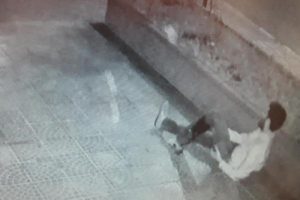 Tartıştığı kişiyi bacağından vurdu