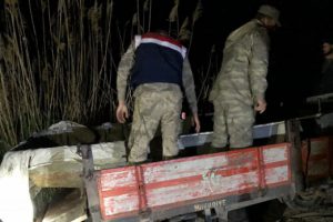 Jandarma kaçak avcılara geçit vermiyor