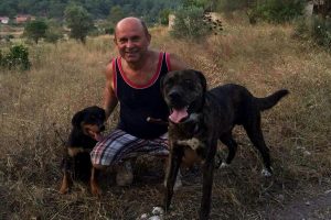 Marmaris'te iki köpek zehirlenerek öldürüldü