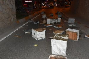 Kamyonun kasası köprüye takılınca arı kovanları yola saçıldı