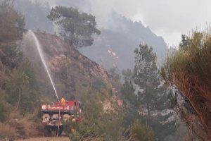 Amanos Dağları'ndaki yangın kontrol altında
