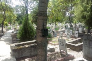 Gizemli kız için fotokapan kuruldu