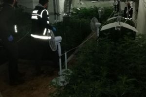 Lüks villaları uyuşturucu fabrikasına çevirmişler!