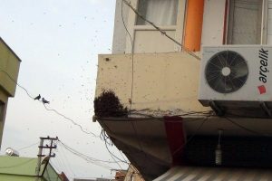Caddeyi basan arılar, yaya trafiğini altüst etti
