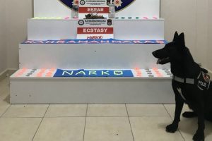 Bağ evine uyuşturucu operasyonu