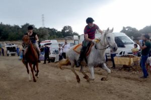 Bodrumlular üç şenlikle coştu