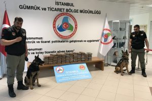 Muz yüklü konteynerden 90 kilo kokain çıktı