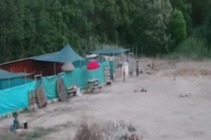Vicdansızlar! 3 köpek yavrusunu vahşice öldürdüler