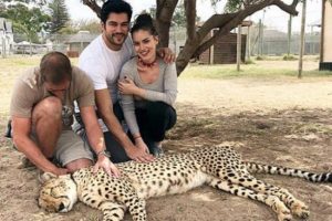 Fahriye Evcen ve Burak Özçivit'in paylaşımına tepki