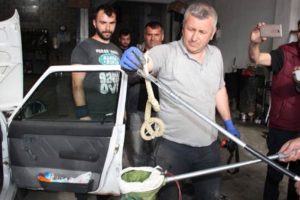 Torpido gözünden bir anda çıktı!