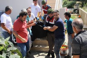 Elleri ve ayakları bağlı asılı halde bulundu!