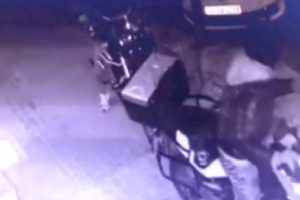 75 bin liralık motosikleti böyle çaldı!