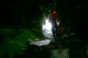 Bursa'da yavru kediler için seferber oldular