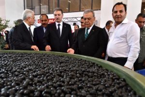 Organik ürünler fuarına büyük ilgi