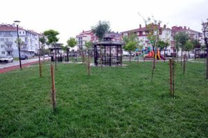 Kardeşiyle kavga eden çocuğu sopayla öldürüldü