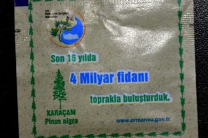 Erdoğan'dan vatandaşlara karaçam tohumlu mektup