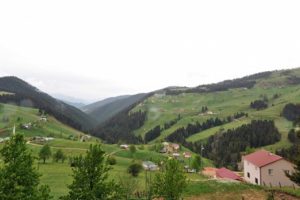 PKK'lı teröristler yayla evlerinden erzak çaldı