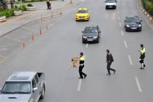 Yolun karşısına geçemeyince...