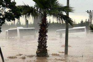 Belediyenin tesisinde akılalmaz görüntü! Su bastı...