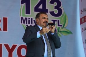 Eroğlu: ''Batı'nın Türkiye üzerinde hesapları var''