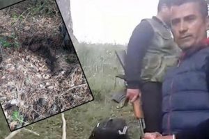 Öldürülen bebeğin anne ve babasının cezası belli oldu!