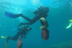 19 koyda gerçekleşen deniz dibi temizlik çalışmaları sona erdi