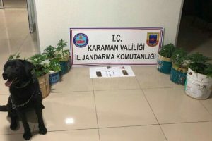 Karaman'da uyuşturucu operasyonu