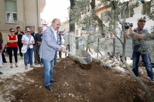 Bursa'da barışın temellerinin atıldığı meydana zeytin ağacı dikildi