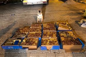 Van'da 138 kilo eroin ele geçirildi