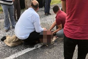 Bursa'da 'kaplumbağa ölmesin' diye mücadele verirken kendisi ölüyordu