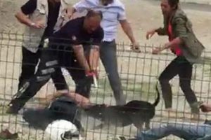 Uyuşturucu satıcısı köpeğini polisin üzerine saldı!