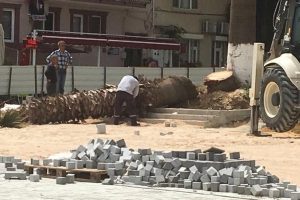 Bursa Mudanya'da kesilen ağaçlar ortalığı karıştırdı!