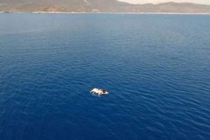 Turizm cennetinde şok görüntü!