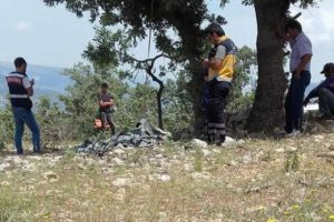 Annelerini ormanda ağaca halde buldular!