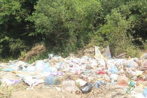 Doğa katliamına dikenli tel önlemi