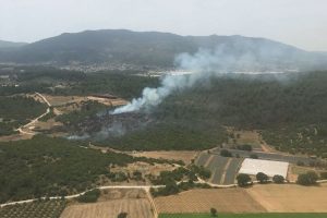 İzmir'de orman yangını