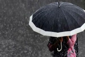 Meteorolojiden 4 il için uyarı